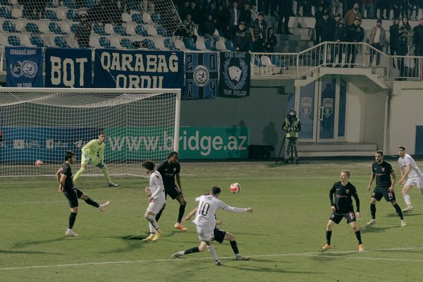 Les 5 meilleurs bâtons de marche pour vos randonnées