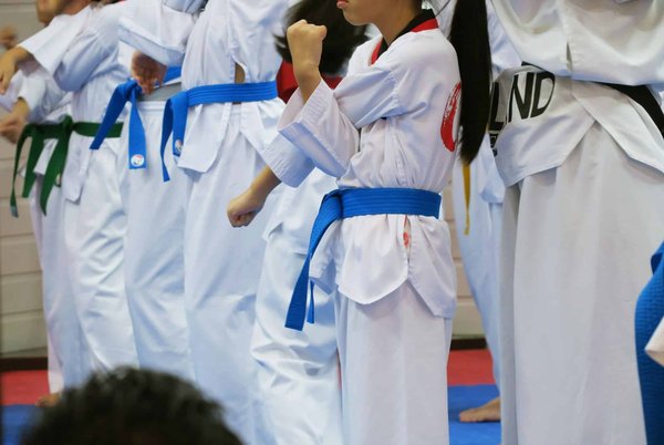 Les différents styles et écoles de Taekwondo